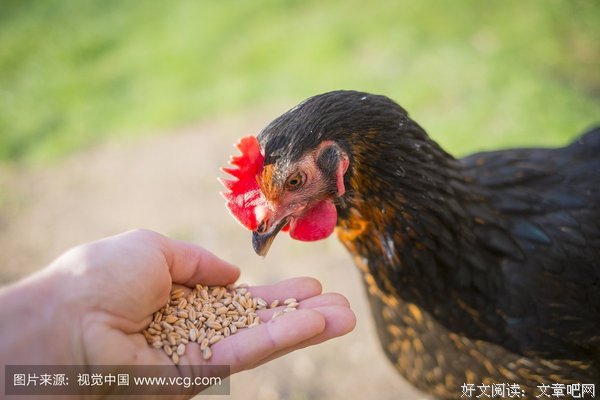 男人再爱一个女人，也不要对她做这些事，否则容易分手