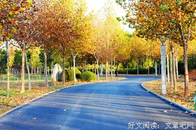 关于抒情用的句子