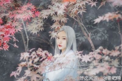 关于【古风想你美】的句子