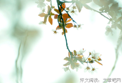 集经典的句子