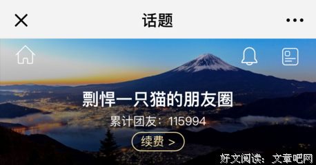 剽悍一只猫的名句