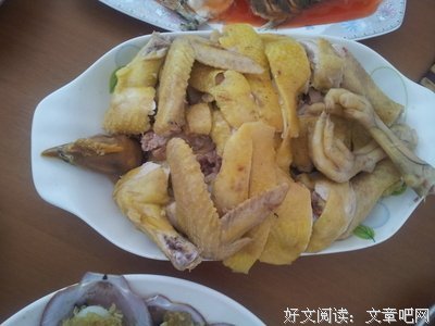 2018喵星虫子君的名句
