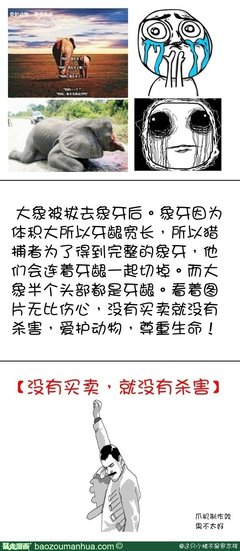 最经典的路飞的小猪名言大全