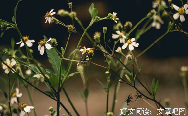 这三个生肖的女人最有福运，既旺夫又能持家