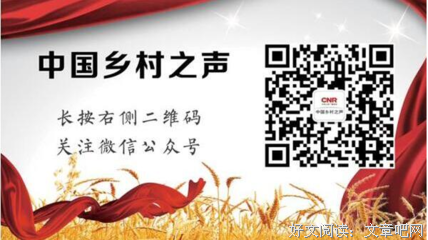 “月薪3万，撑不起回家过个新年。”