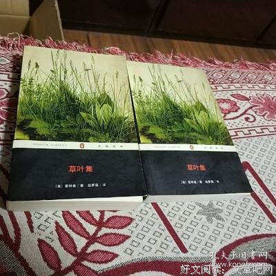 最新的《草叶集》经典名句