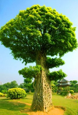 最全的《长相守》名句欣赏