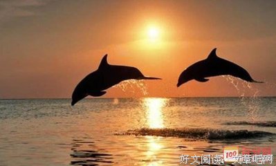 描写谈情说爱的语句摘抄