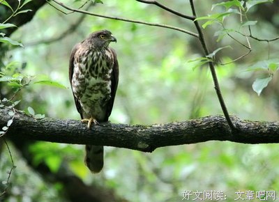 关于左思的座右铭
