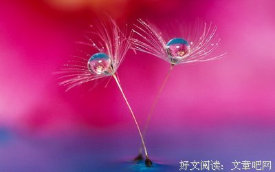 关于如尼采的座右铭