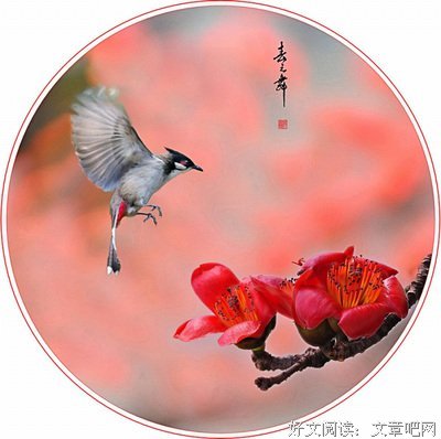 非亲非故的名言_关于非亲非故的名言