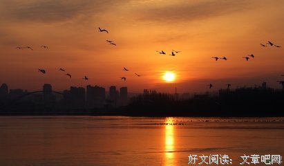 湖的句子