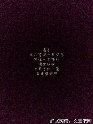 《此生不悔入盗墓》的句子