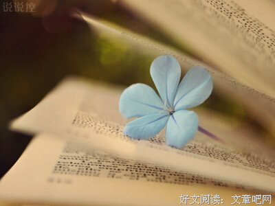 《那开情》的句子