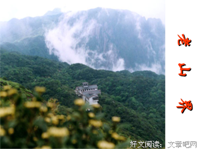 李定一经典句子