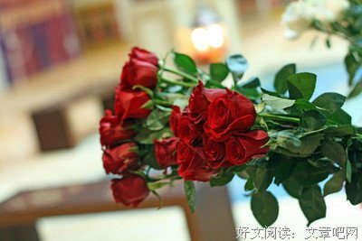 主而非经典语录