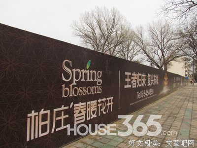 关于柏庄名言大全