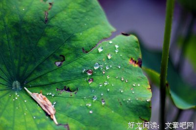 有关益十要没外降措尊者的名言