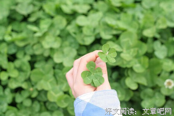 最全的《一九八四》经典语句大全