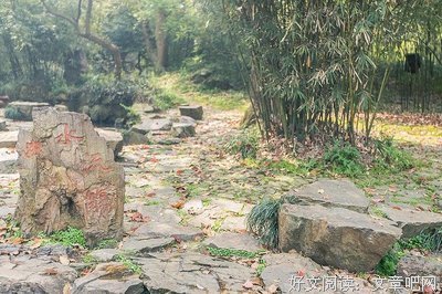 最经典的《一座城池》佳句摘抄大全