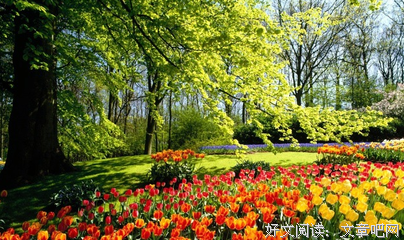 最经典的《世有桃花》佳句摘抄