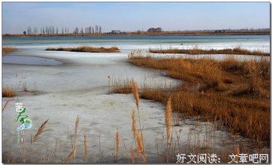 最新的《人间草木》经典语录