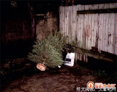最新的《借我一生》好段摘抄大全