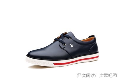 最新的《公子无耻》小说摘抄