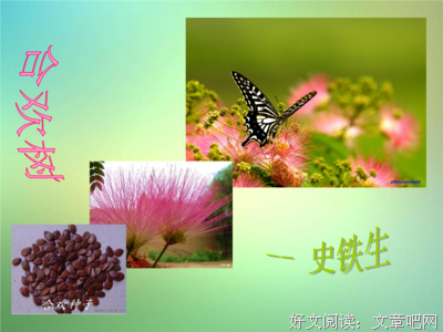 最新的《务虚笔记》经典语录