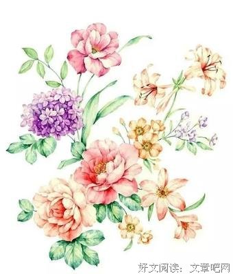 最经典的《微博语录》佳句摘抄大全