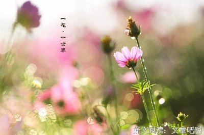 ▷ 生活不容易十有八九，愿你能被世界温柔以待