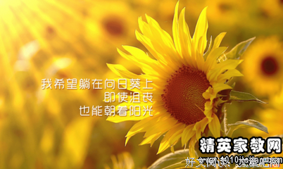 关于满载而归的语句