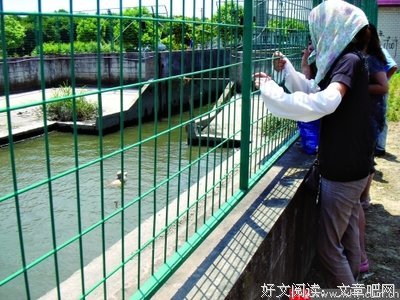 44岁，3个孩子，她为什么还不放弃成长？