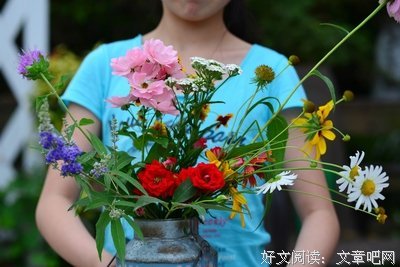 梦花优美的句子