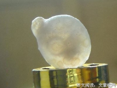 流沙、大漠的句子