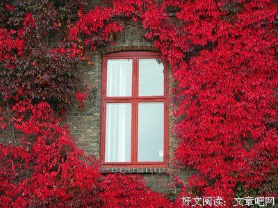 单纯经典的句子