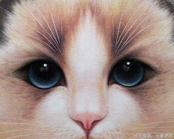 猫西于得铭的句子
