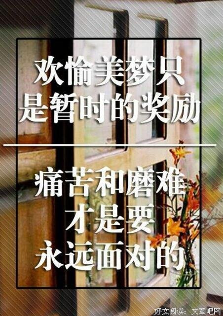 最新的小仓广的格言