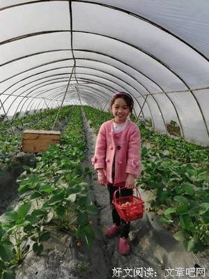 实录 || 我撞死了婆婆：我生了女儿，她竟把古董全送给了外人！