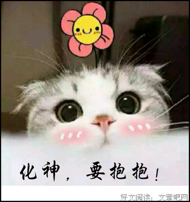 隐要和名言