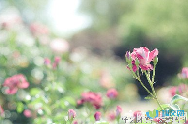最全的《悲惨世界》经典语录大全
