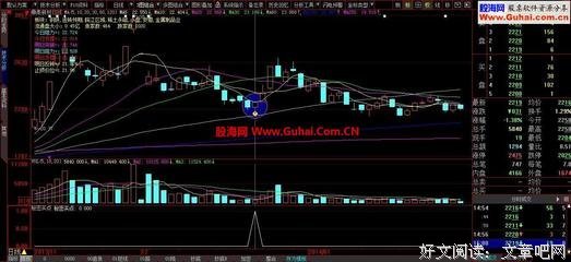 最新的《智慧奥秘》经典语录