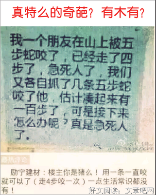 最新的《最佳损友》语录摘抄