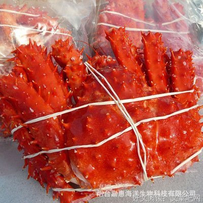 最全的《极品皇妃》经典语录大全