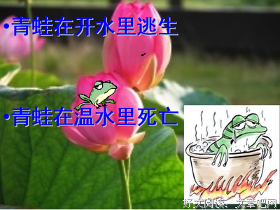 《生死忧患》经典句子大全