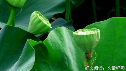 最经典的《笠翁对韵》经典名句