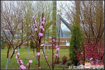 《美丽心灵》佳句摘抄大全