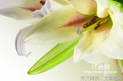 描写老气的经典句子