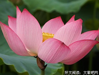命理 | 你越爱他，他越渣