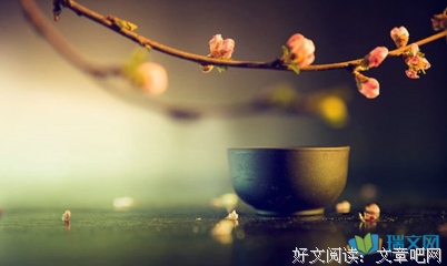 遇见。的优美句子